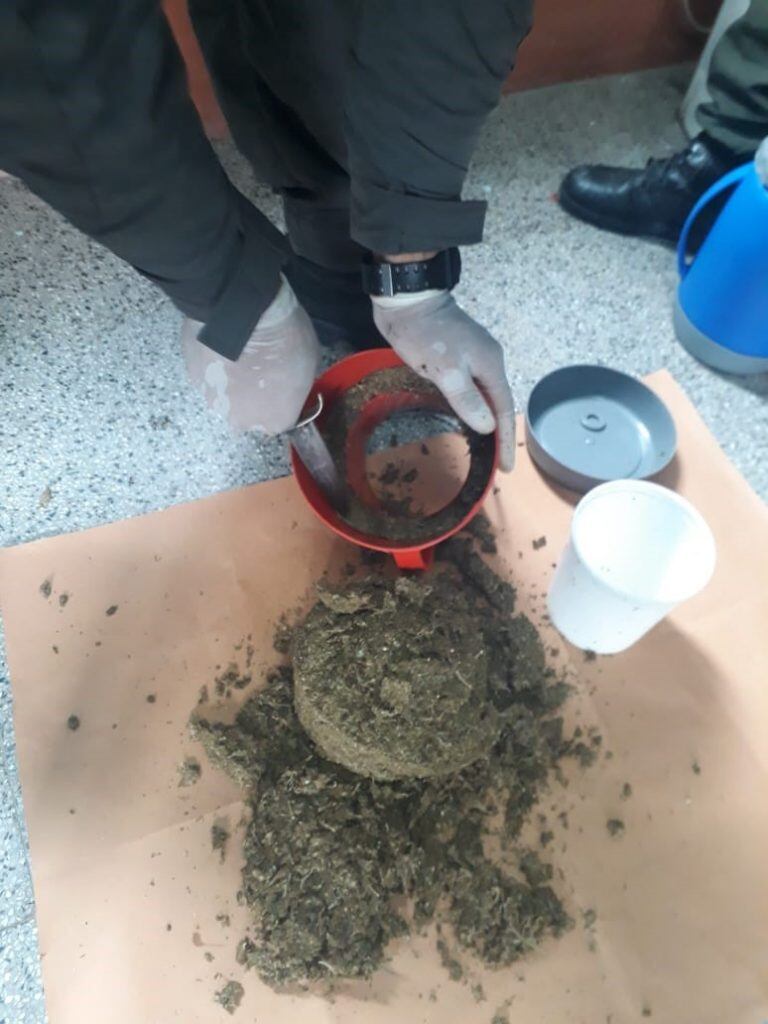 Secuestran más de 4.900 dosis de marihuana y detienen a una persona en la Ruta 11. (Web).