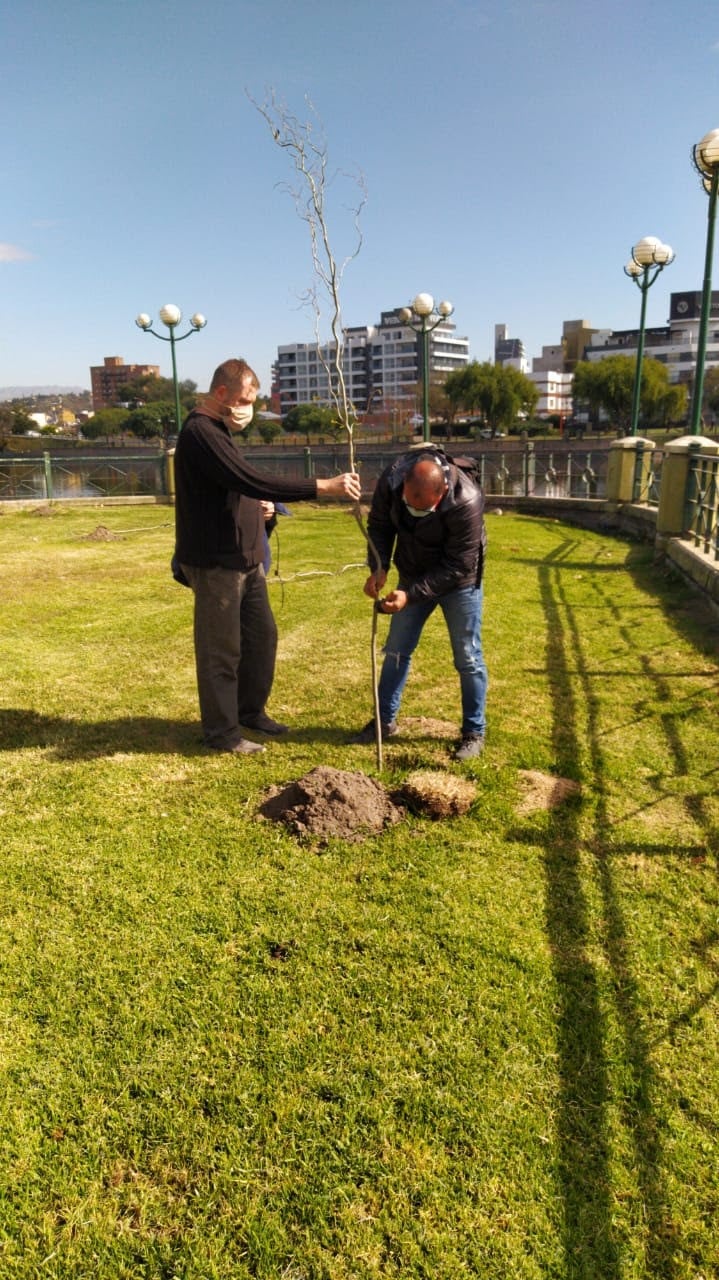 Cuarta etapa de plantación en Carlos Paz. (Foto: prensa municipal).