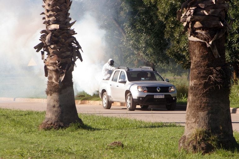 Fumigaciones en Arroyito