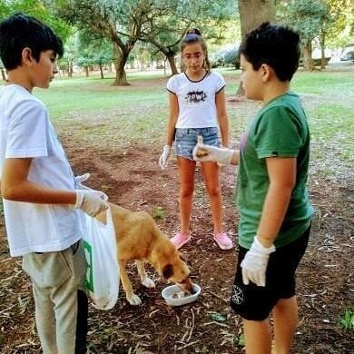 Cami, Mar y Mateo, los chicos azuleños que se volvieron virales por darle de comer a perros callejeros.