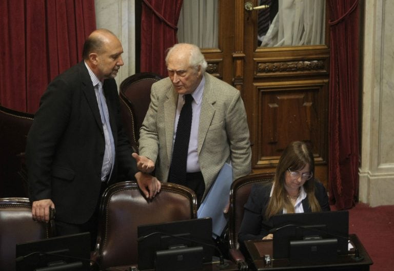 Fernando Pino Solanas en la sesión camara alta (Foto: FOTO:DYN/PABLO MOLINA.)