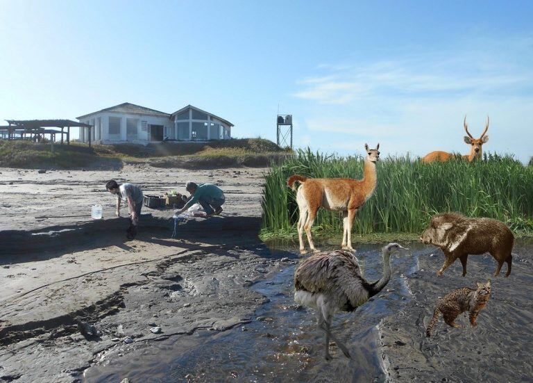 Encontraron huellas fósiles en Miramar