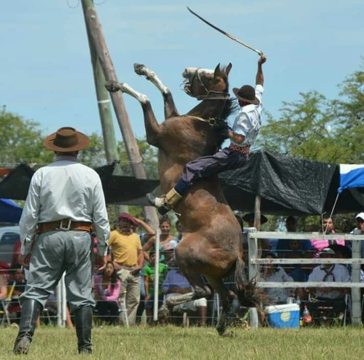 Joaquín Griolio, Subcampeón en la Categoría Crina Limpia del 54º Festival Nacional de Doma y Folclore de Jesús María