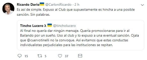 Ricardo Carloni criticó a Sheila Stanolli, la joven que ingresó semidesnuda a la cancha