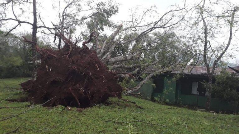 Temporal en Misiones.