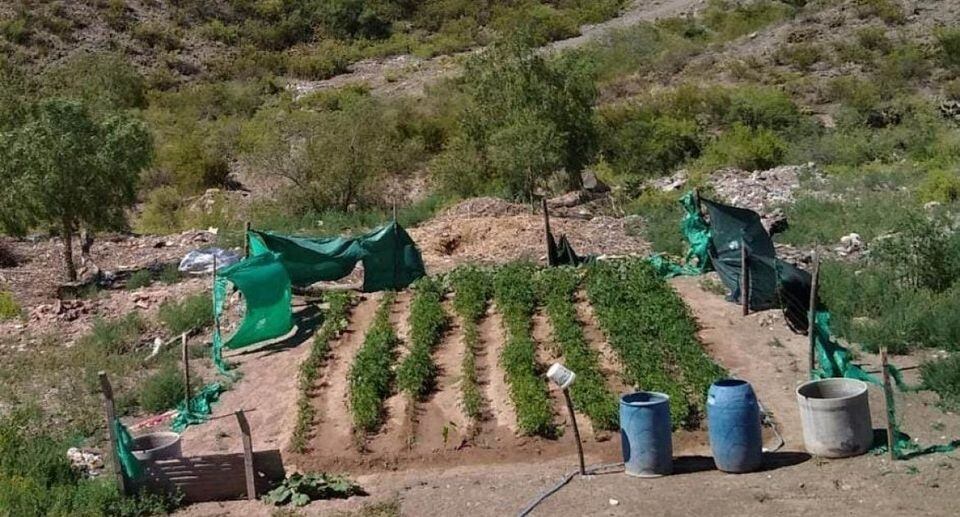 Vecinos del barrio la Favorita transformaron un basural en una huerta.