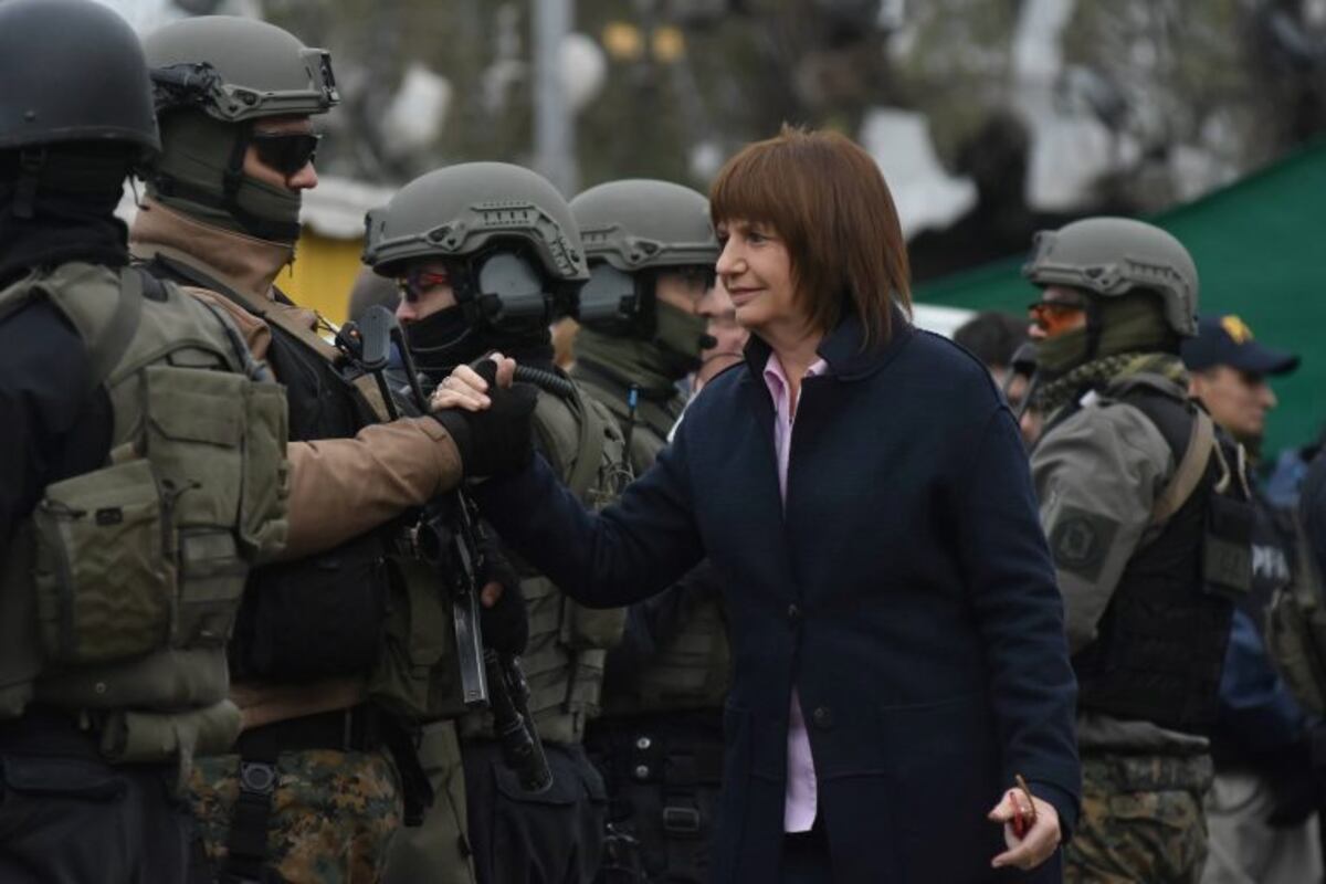 Bullrich sobre la seguridad en las fronteras para las PASO: "No vamos a dejar pasar a nadie"
