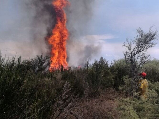 Incendios en el Sur mendocino.