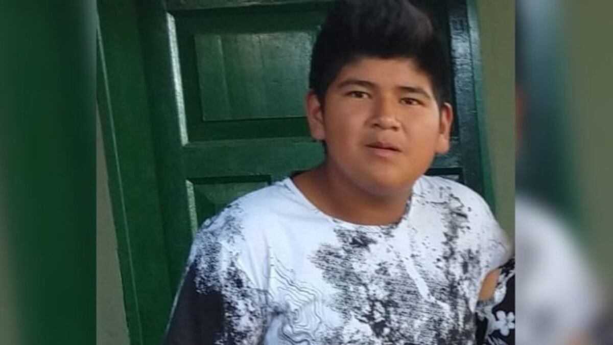 Cinco delincuentes le dieron una paliza a un niño para robarle una bici: está en coma