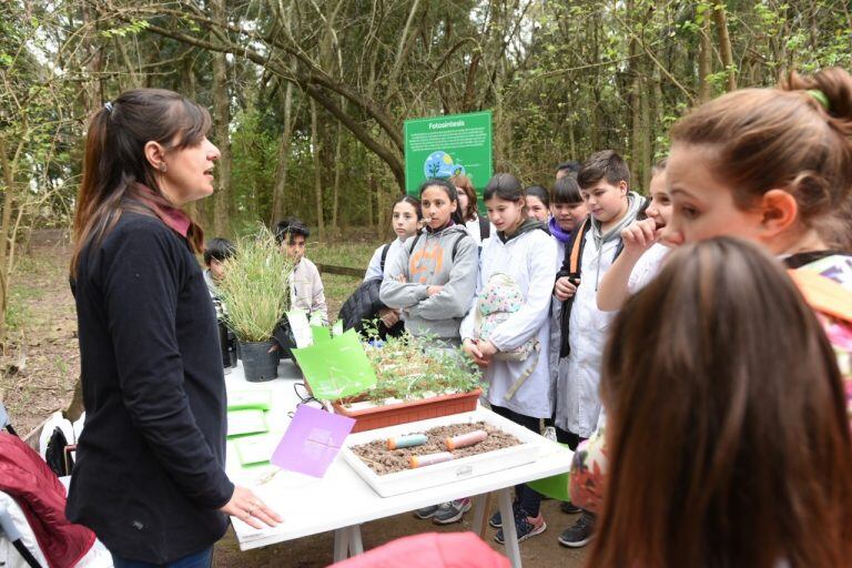 Estuvieron presentes alumnos de las escuelas Pizzurno, Bartolomé Mitre, Manuel Belgrano y Don Tomás, entre otras (Prensa Municipalidad de Rafaela)