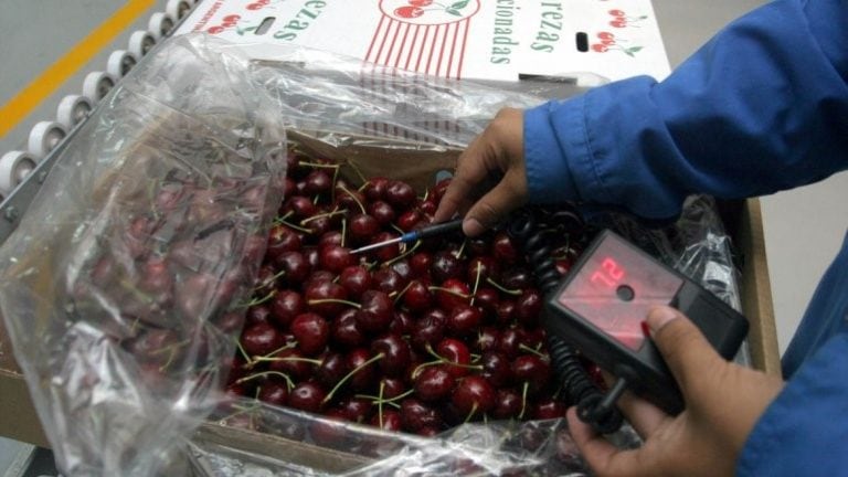 Exportación de cerezas.