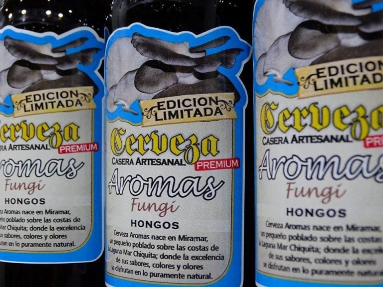 Hongos Gírgola