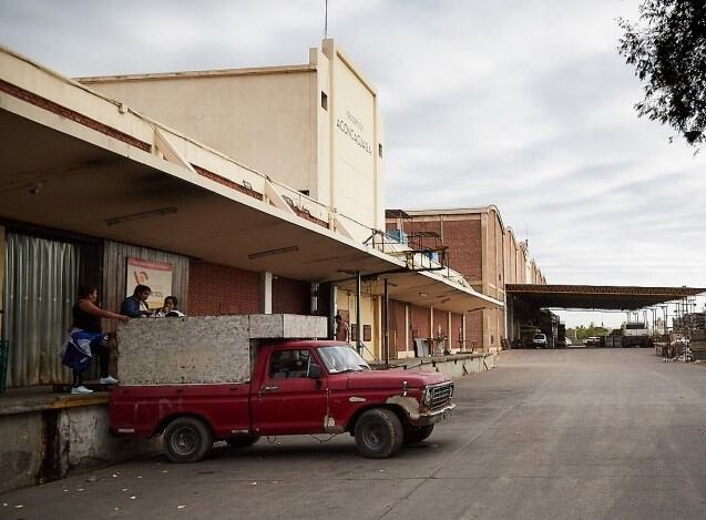 La crisis de la fruticultura en Mendoza tiene efecto en cadena, haciendo caer a uno de los grandes y tradicionales frigoríficos de la provincia.