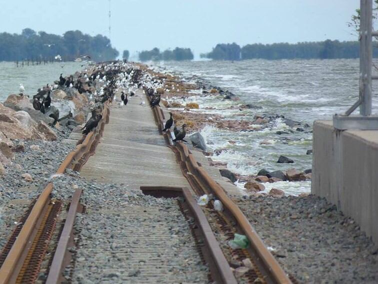 La vías en La Picasa destruidas por el agua.