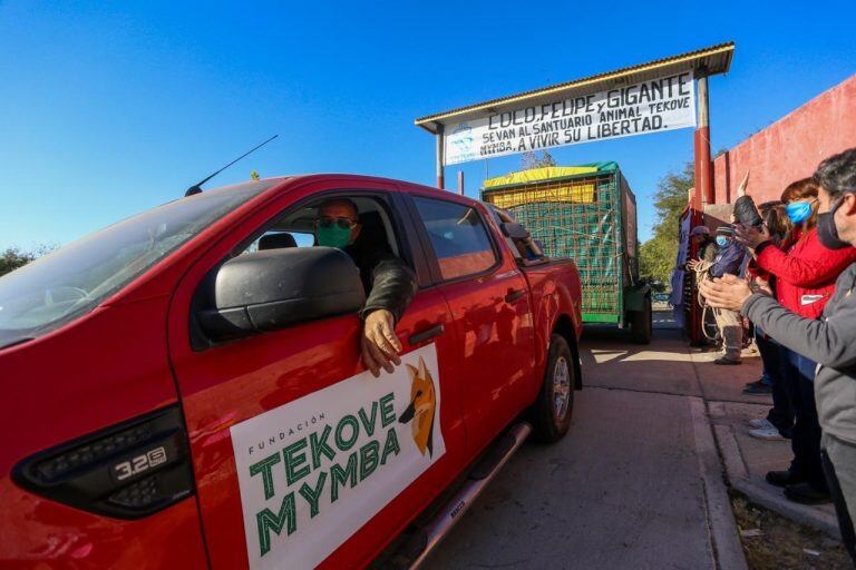 El Municipio Riojano hizo efectivo el traslado de los búfalos y el yacaré