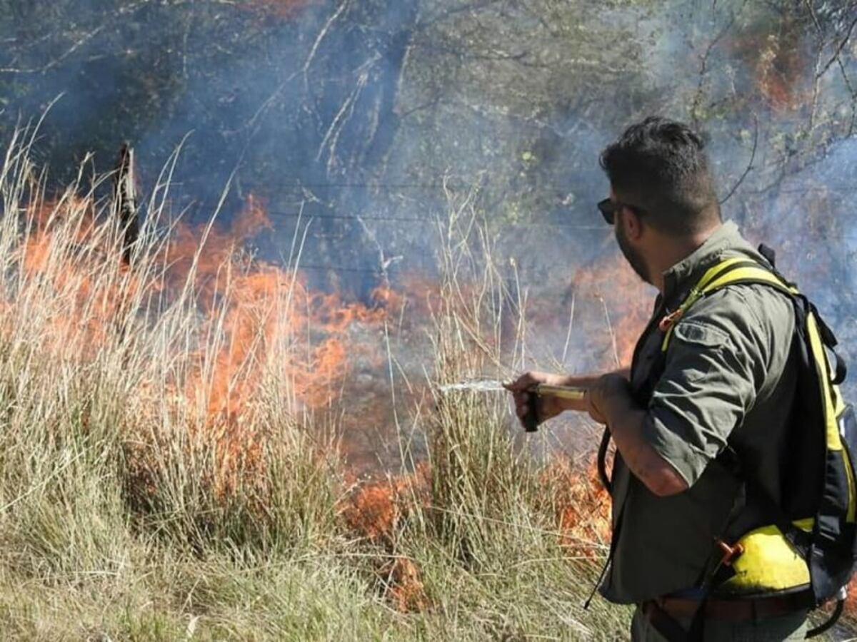La quema de campos ya afectó a 500 mil hectáreas en Corrientes