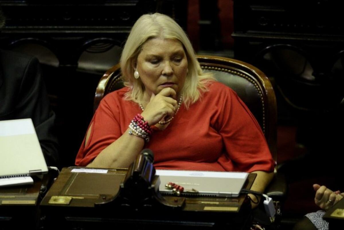 Elisa Carrió presentó su renuncia como diputada nacional a partir del 1ero de marzo