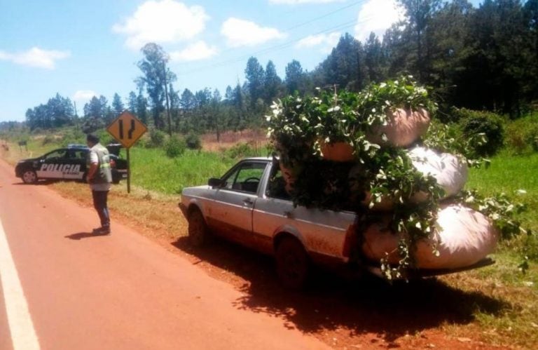 Yerba mate en un transporte improsivado en un control de remitos de la hoja cosechada. (Imagen ilustrativa)