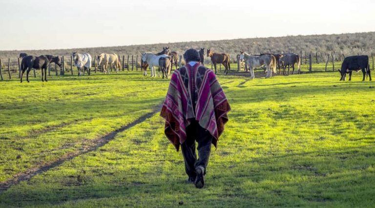 La experiencia propone el contacto pleno con la naturaleza (Facebook)