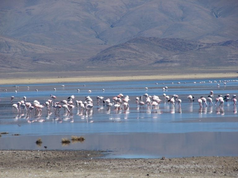 Laguna de Pozuelos