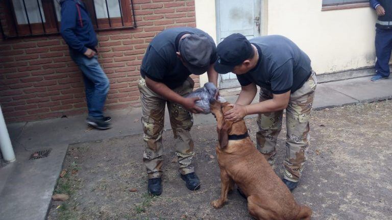 Desesperada búsqueda de, Vicente Choque, el abuelo que desapareció hace un mes. (Policía de Salta)