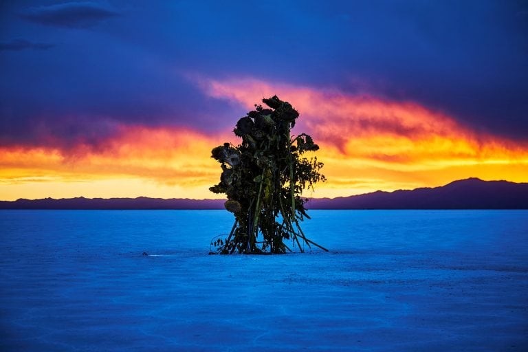 Fotografía del artista japonés Makoto Azuma tomada en Salinas Grandes, provincia de Jujuy. La obra, titulada "Salt Flower", foma parte de la segunda edición de la Bienal Sur, el mayor evento de arte contemporáneo promovido desde Argentina y que hasta noviembre llegará a 43 ciudades de 20 países. (Foto por Shunsuke Shiinoki / BienalSur / AFP)