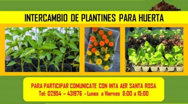 La actividad será este sábado desde las 16 horas (Municipalidad de Santa Rosa)