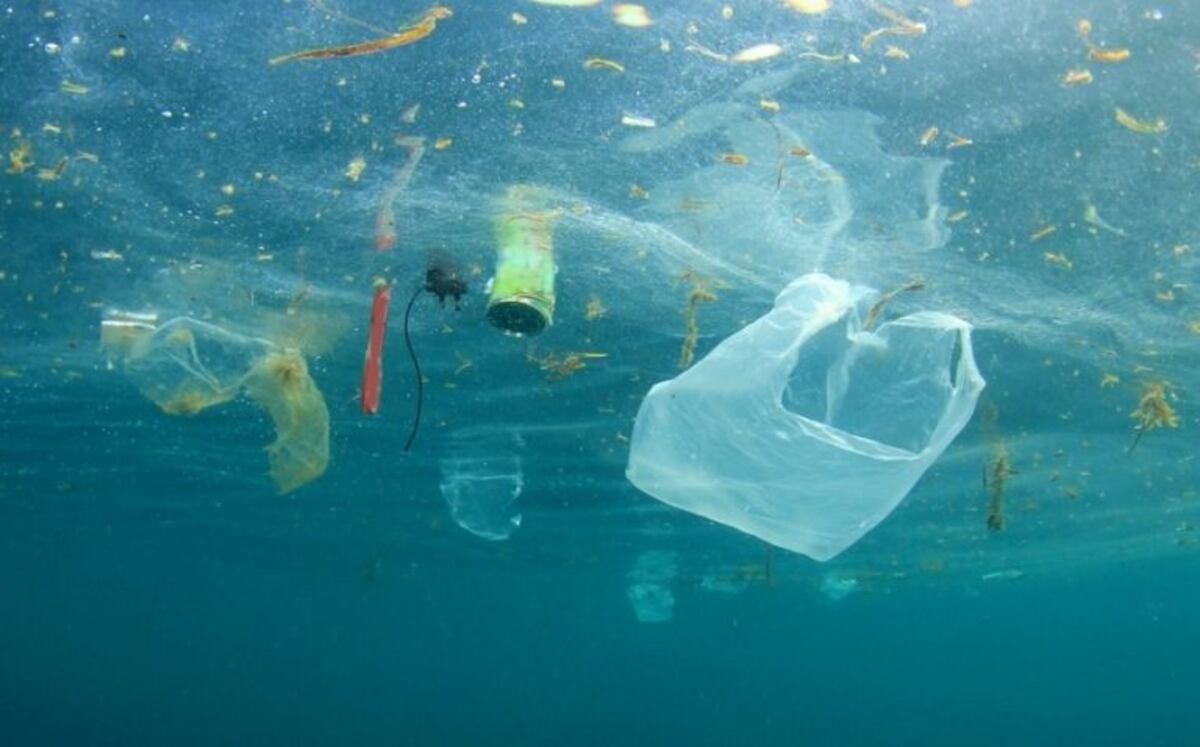 Campaña de Gestión Ambiental por el uso de bolsas plásticas