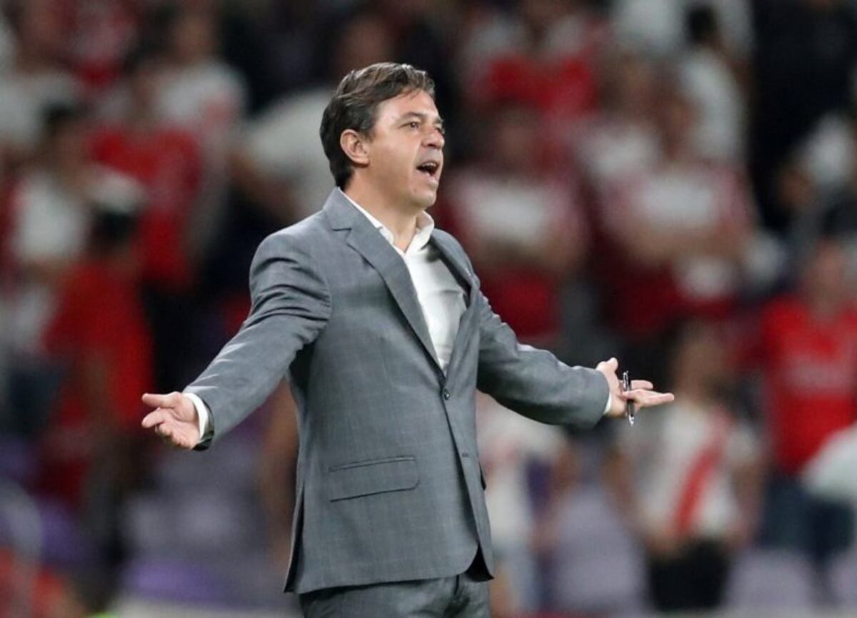 Marcelo Gallardo: "El festejo no se mancha por esta derrota"