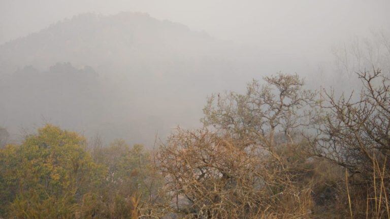 El humo se apodera de la zona de Alpa Corral y se hace difícil respirar