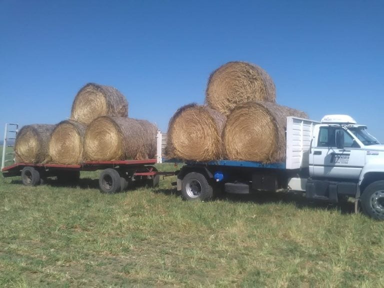 Ayuda de productores