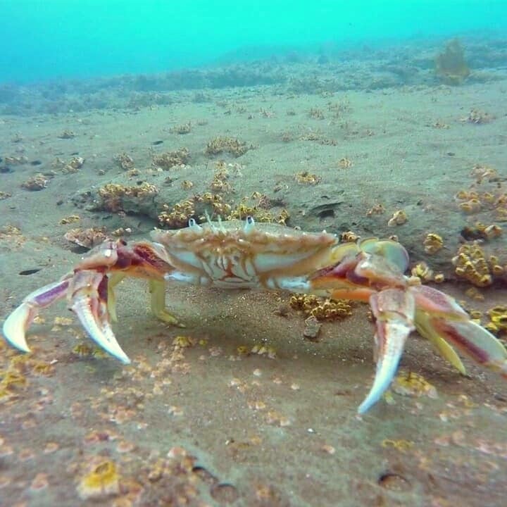 Muestra fotográfica El Mar Nuestro Mundo