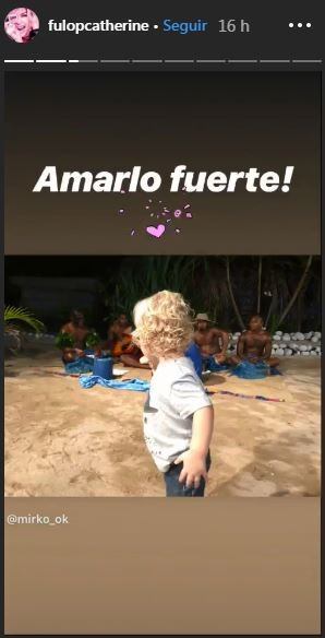 La historia de Catherine Fulop sobre Mirko. (Instagram/fulopcatherine)