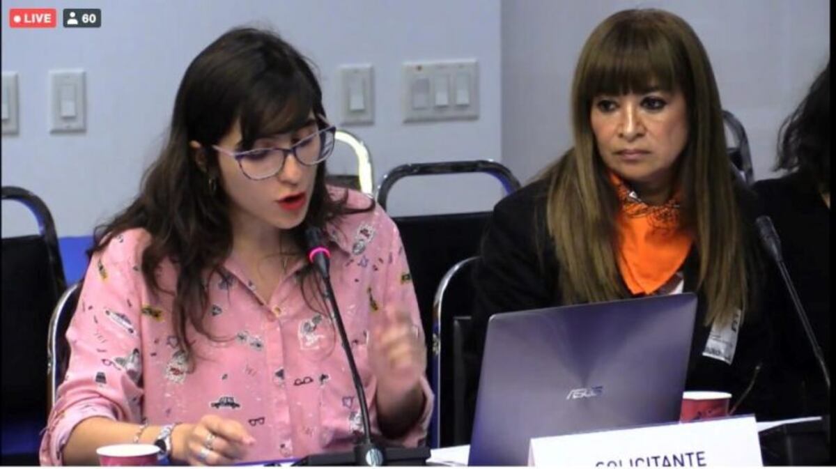 El "caso Lucia" se trató el tema en la Comisión Interamericana de Derechos Humanos