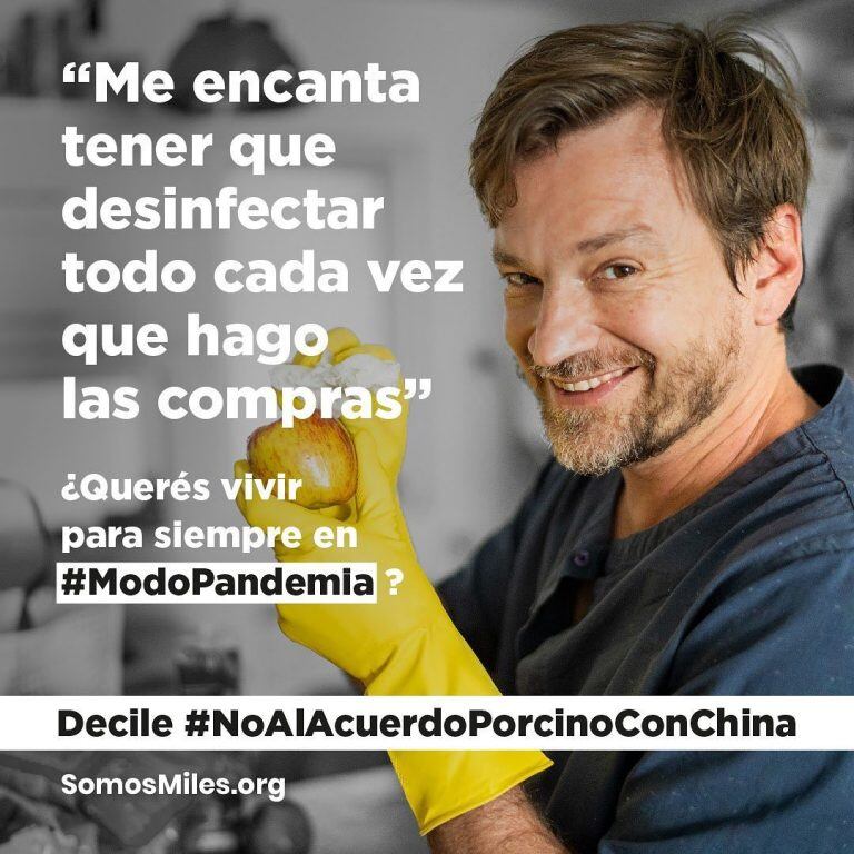 #ModoPandemia: la iniciativa que busca frenar el acuerdo porcino con China que promueven los famosos (Foto: Instagram @somosmilesorg)