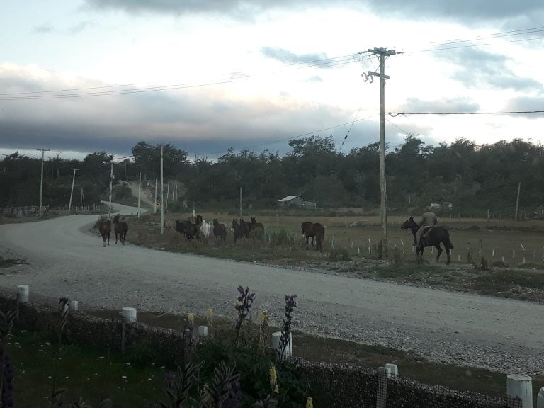 Cabalgatas de fin de semana por la zona, son muy pedidas por los turistas