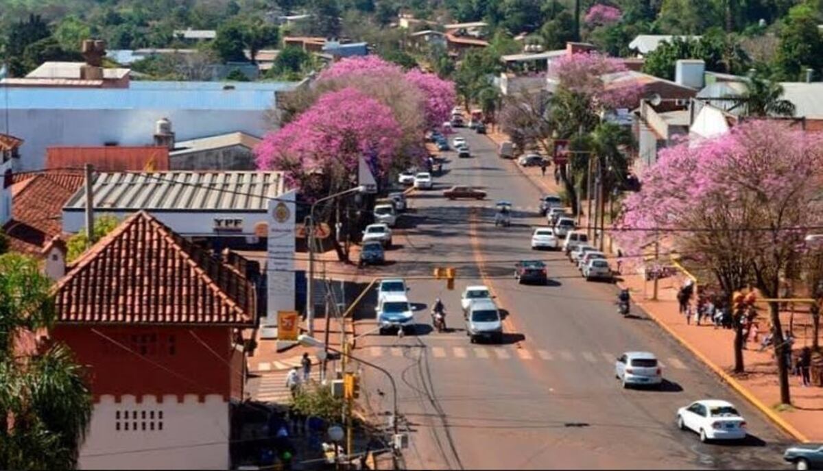 Desde este domingo se podrán realizar caminatas recreativas en Eldorado: conocé los circuitos habilitados