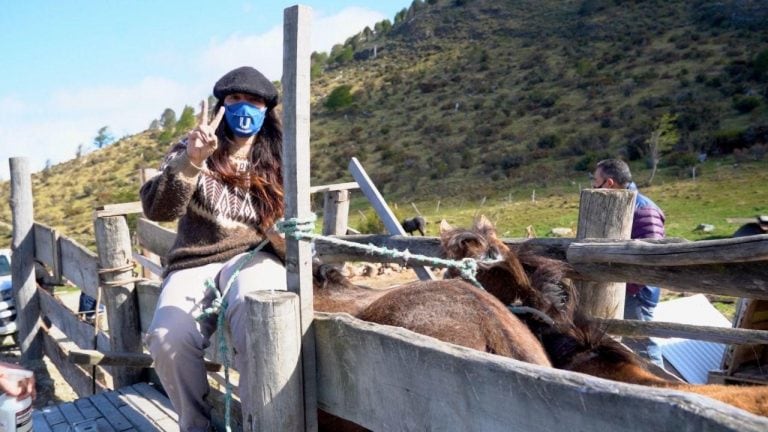 Campaña para chipear Caballos