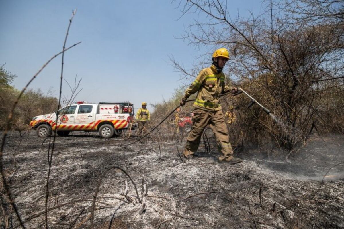Ya son catorce las provincias afectadas por los incendios forestales