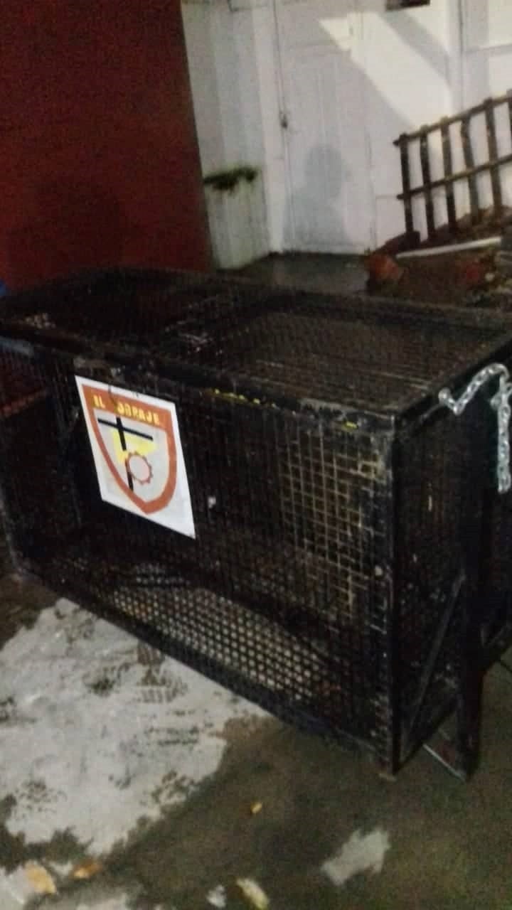 Canasto de basura arrancado por dos jóvenes en un acto de vandalismo en el establecimiento educativo El Obraje.