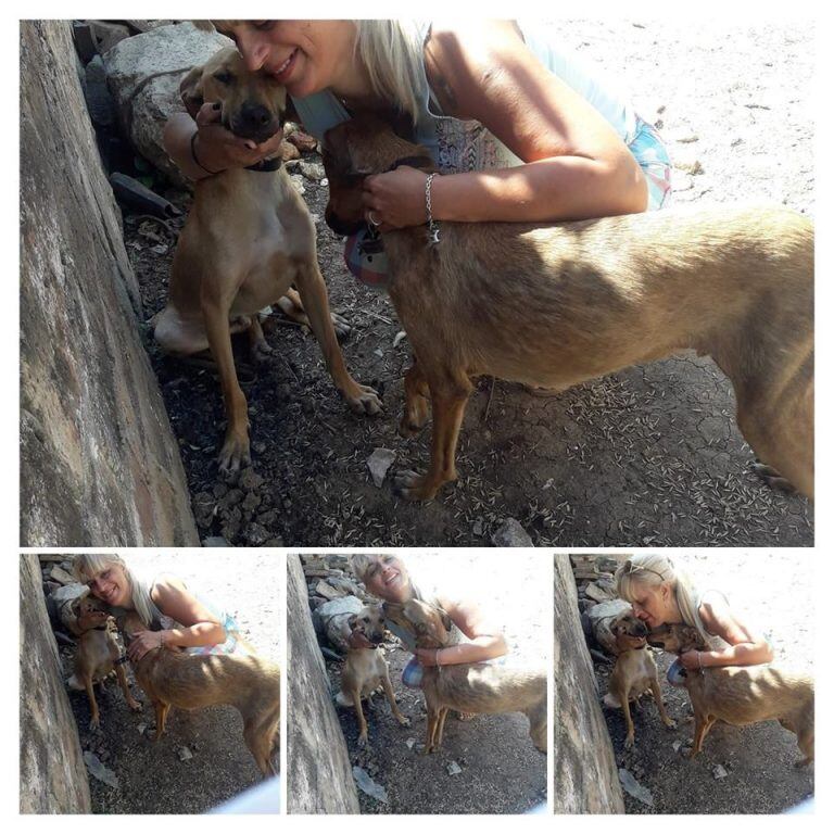 La mujer policía de Quilmes que recoge perros de la calle y les busca familia (Foto: Facebook)