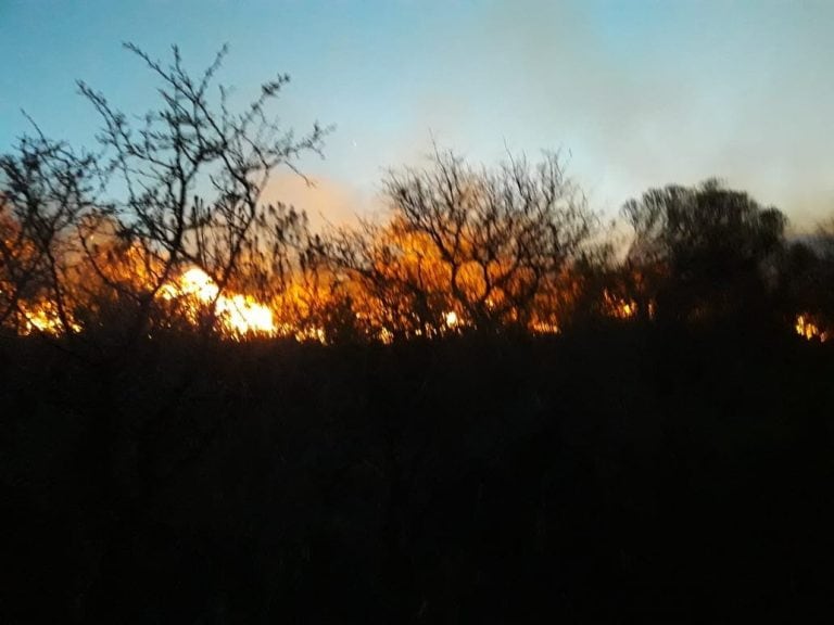 Fue contenido el incendio del viernes 21 de setiembre en Alpa Corral.