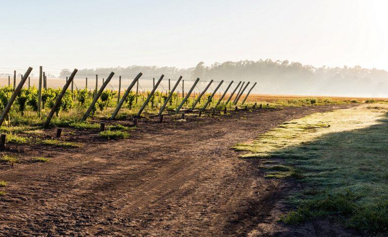 La finca Costa y Pampa de Trapiche en Chapadmalal está muy cerca de la costa atlántica.