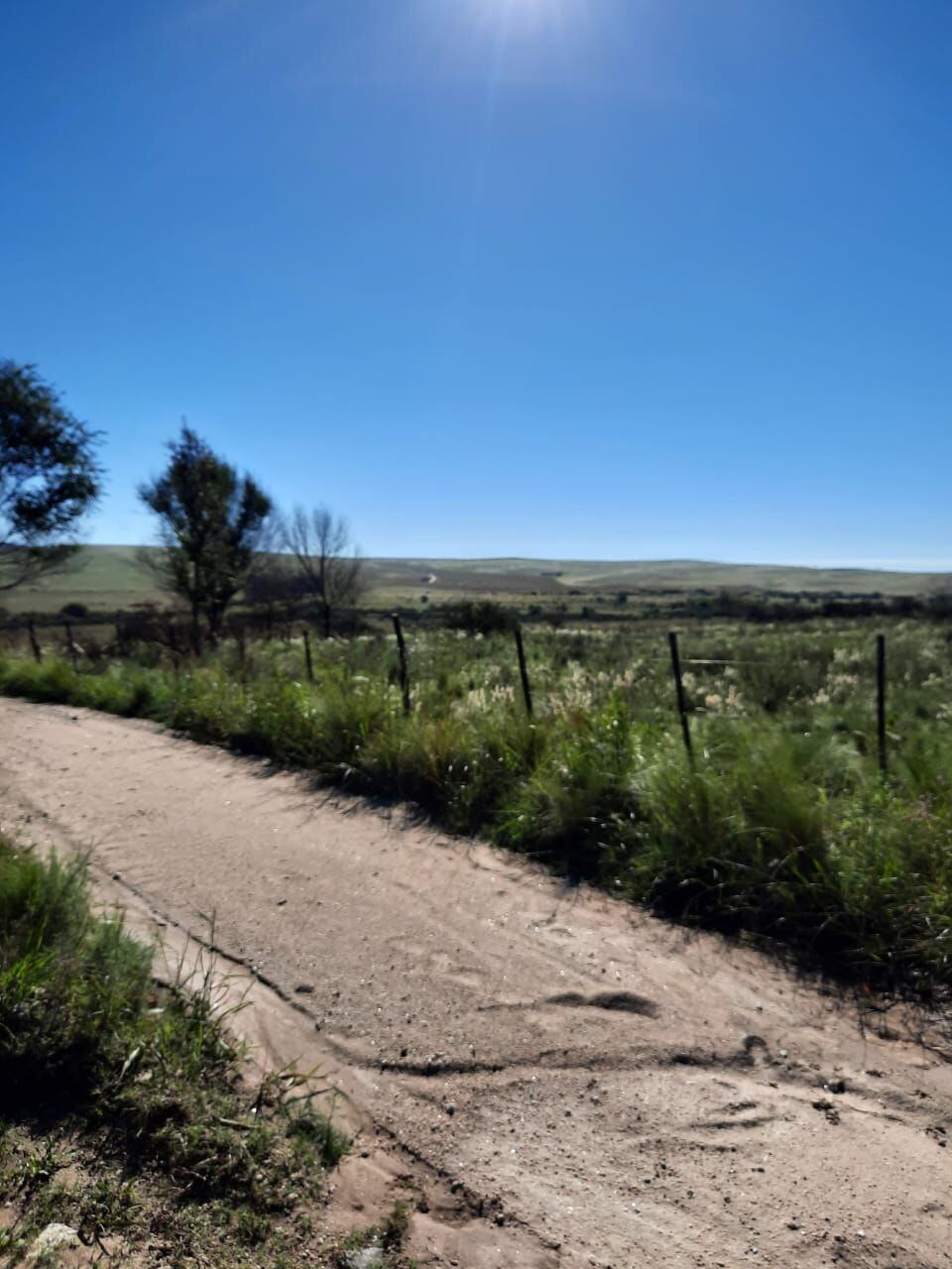 Se trata de 10 lotes que van desde los 520 hasta los 870 m2.