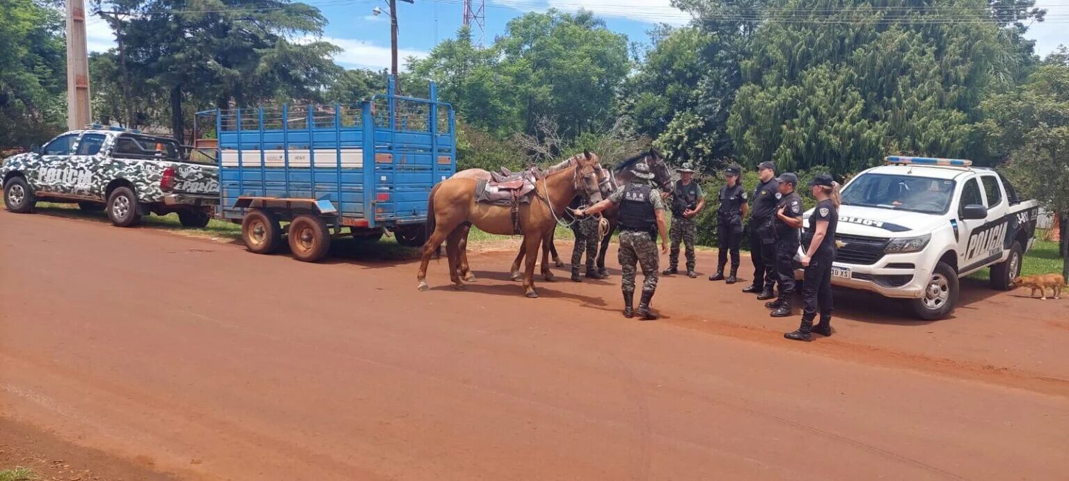 El Operativo Territorial Misiones impactó positivamente en el esclarecimiento de múltiples delitos