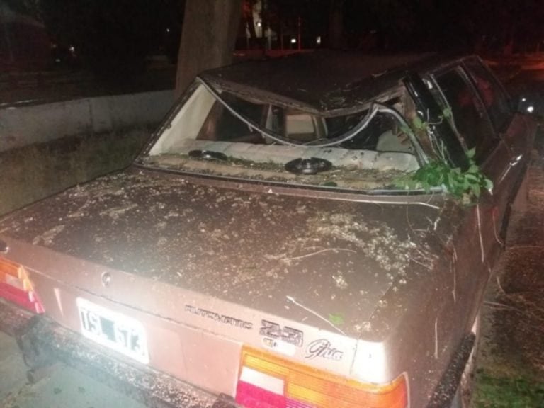 Lo que dejó el temporal de viento en Bahía