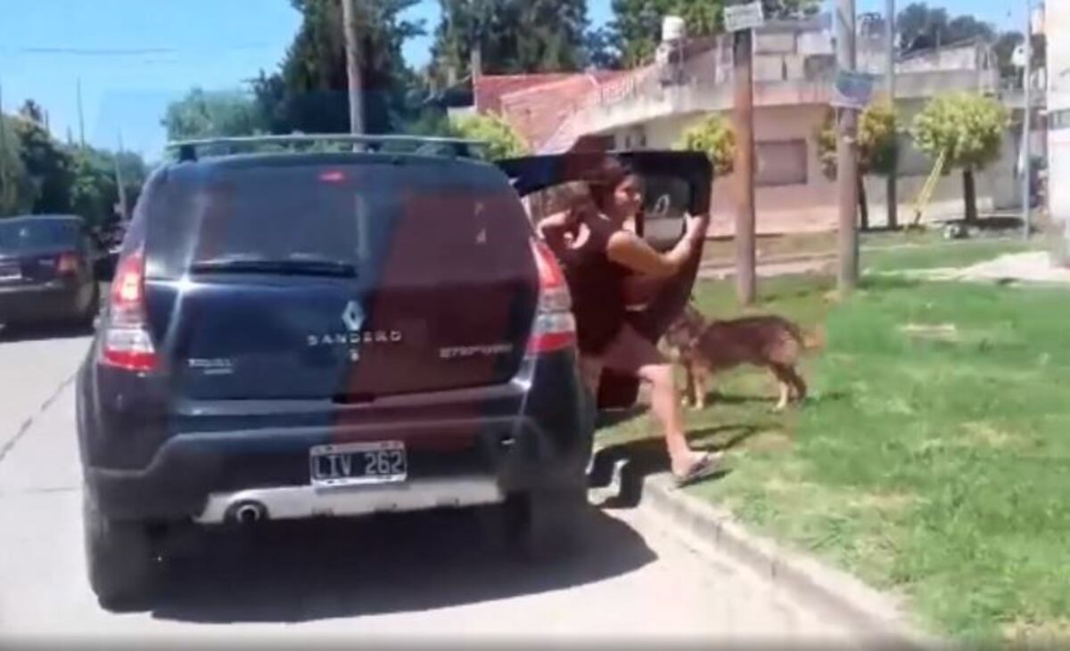 Un perro corrió por 15 cuadras atrás de la familia que lo abandonó