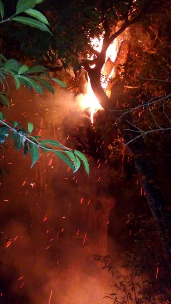 Se incendió la reconocida grapia de Campo Ramón