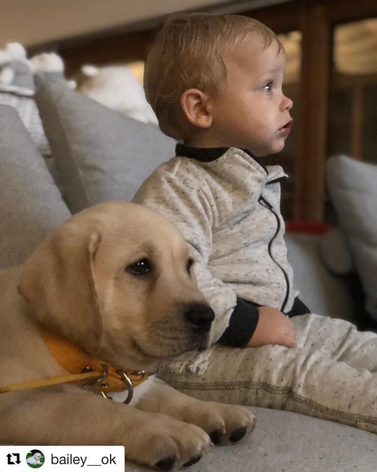 Marley mostró el emotivo reencuentro entre Mirko y su perrito Bailey