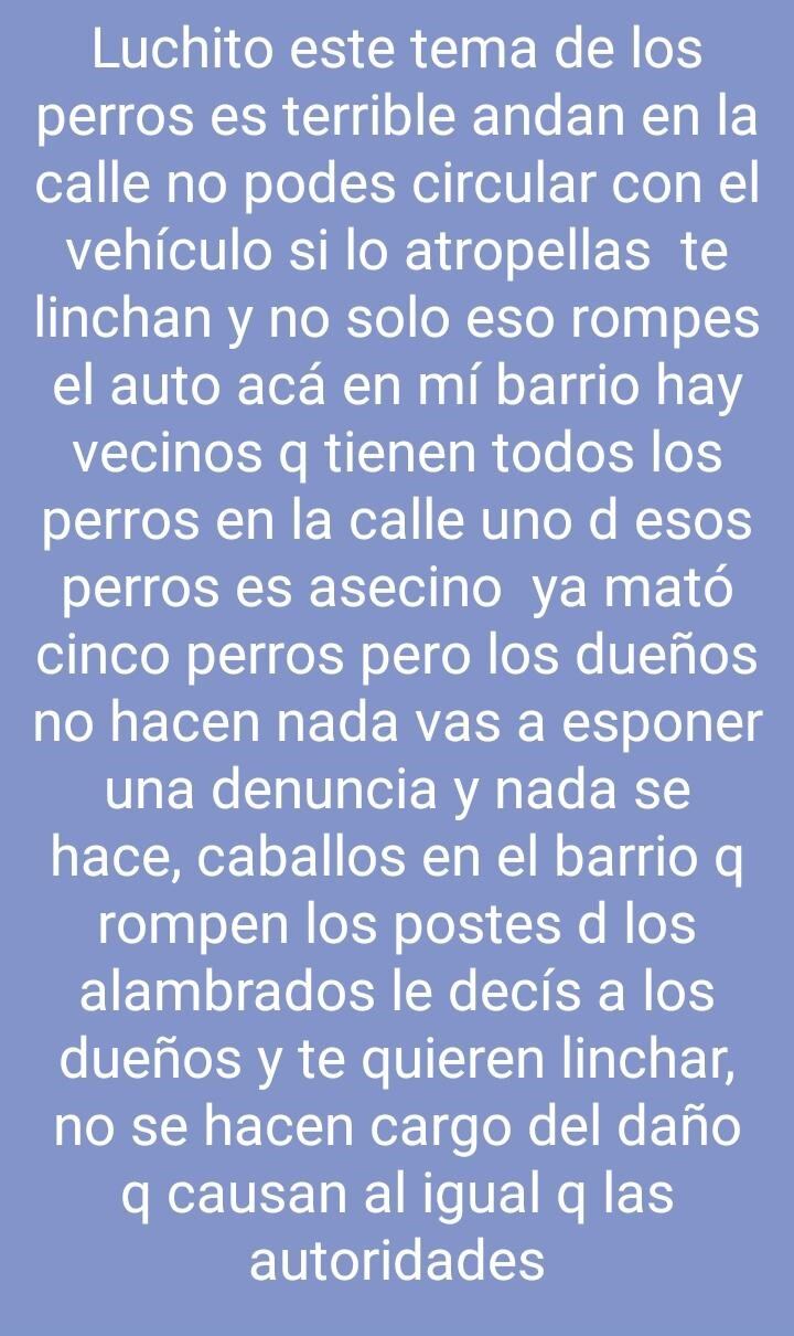 Problema de los perros de la calle